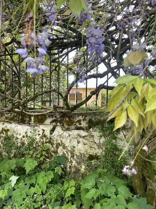 Gite Lilas Ideal Pour 4 Pers Capian Exterior foto